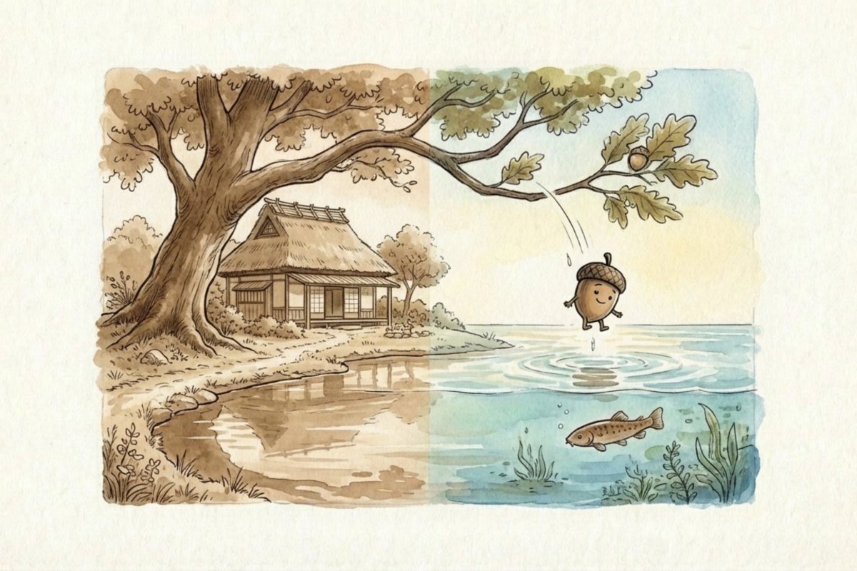 大きな木の枝からどんぐりが池へ落ち、水面の波紋と水中の魚影、岸辺の家が描かれた風景。歌詞が怖いと語られる落下の瞬間と、どじょうの登場を一枚で捉えた情景。